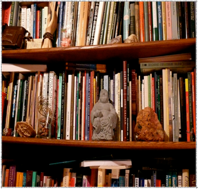 Rasma Haidri's bookshelf, bokhylle til Rasma, Amherst Writers & Artists trained facilitator